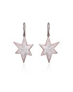 Meteorite star and red gold earrings