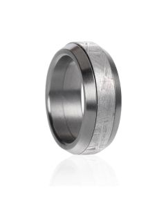 Meteorit Ring mit Stahl