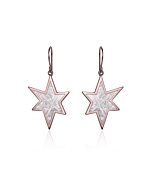 Meteorite star and red gold earrings