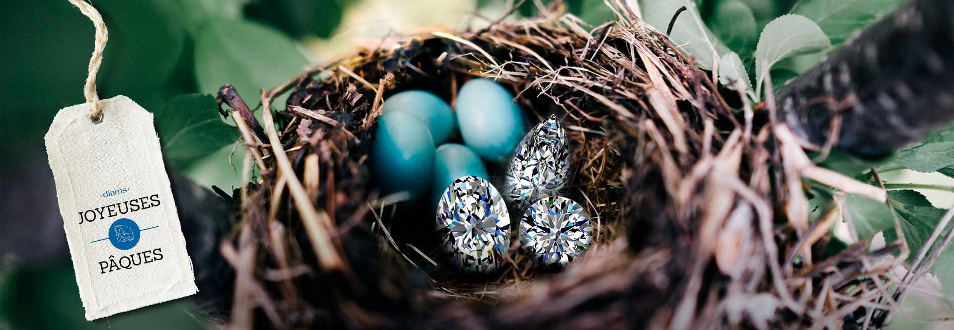 GIA-certified brilliant diamond set in an 18k white gold ring