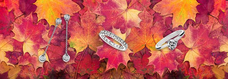 Diamond earrings, eternity band and solitaire ring, GIA certified, on autumn leaves